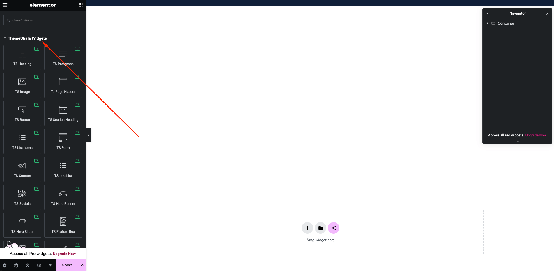 elementor-widget