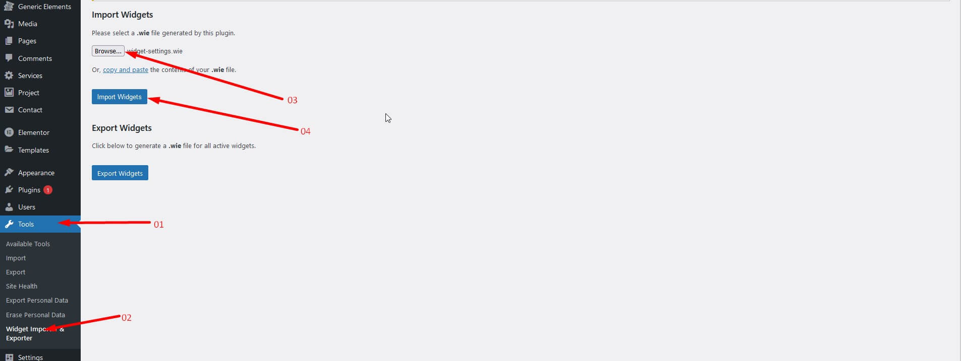 manual-import-widget